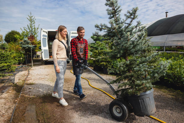 How Our Tree Care Process Works  in  Pigeon, MI